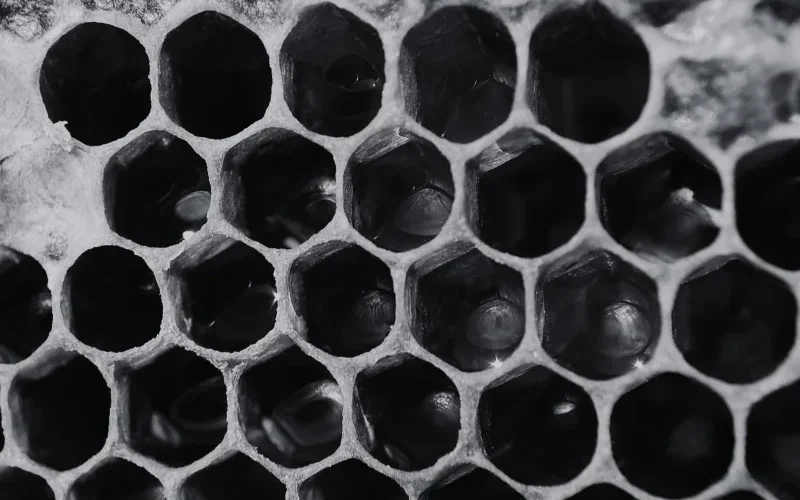 Design sem nome (34)